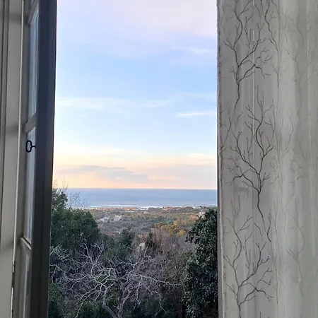 Casina Bellavista 利沃诺